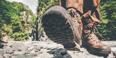Ga met een gids de natuur in en leer meer over de flora en fauna om je heen.