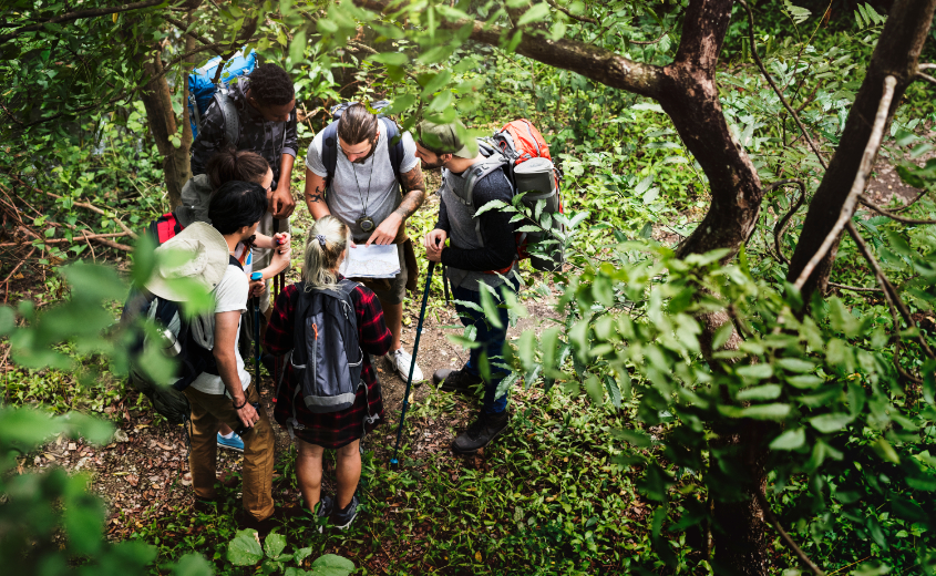 Groep in het bos, op zoek naar de punten tijdens een Oriëntatie Hunt. - Oxtarn Clinics & Adventures